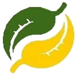 Medical Pharm